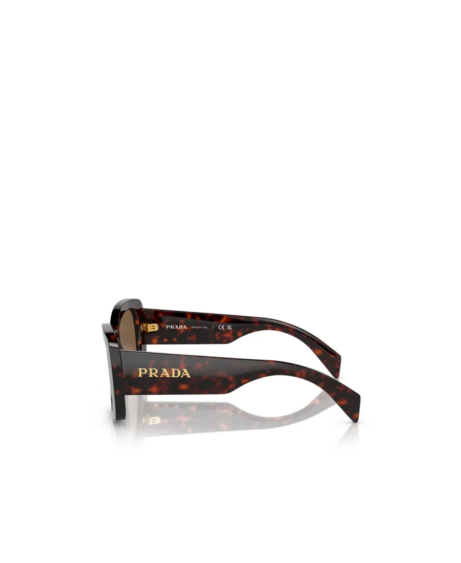 Square Frame Sunglasses