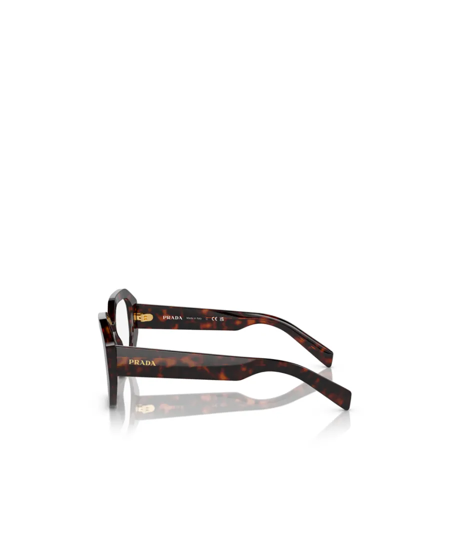 Cat-Eye Glasses