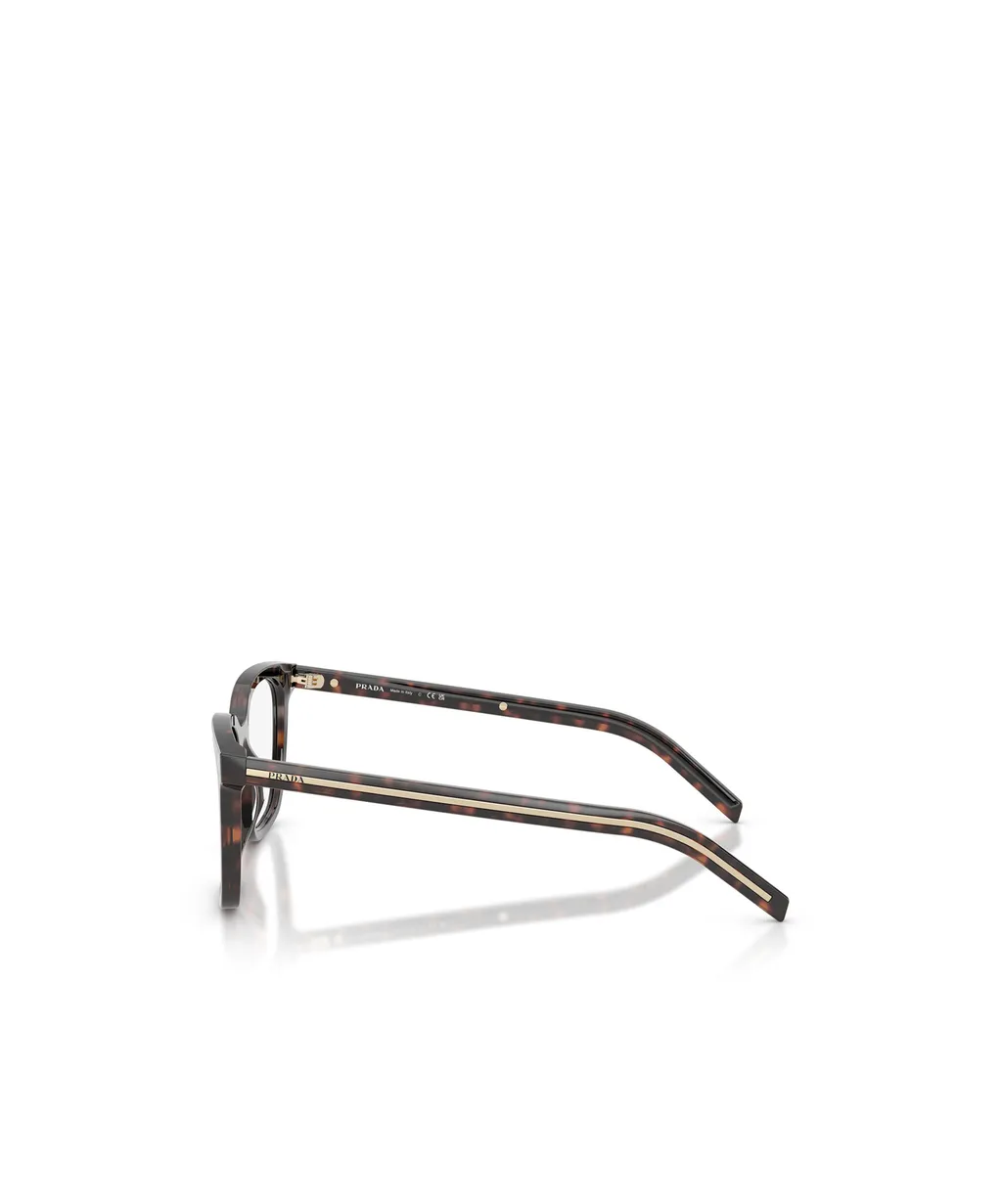 Square Frame Glasses