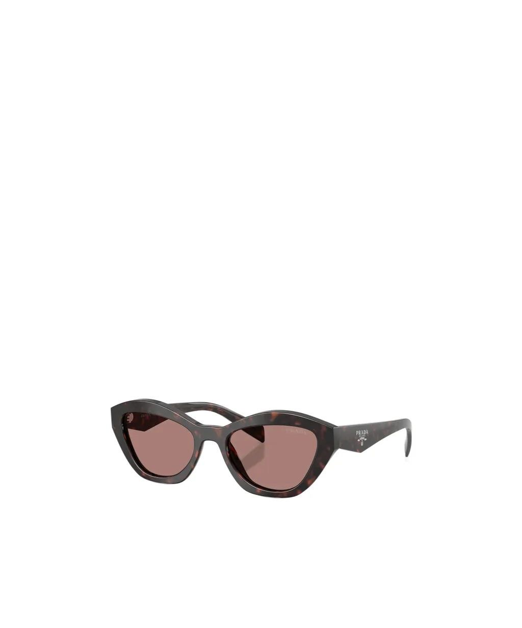 Full Frame Sunglasses