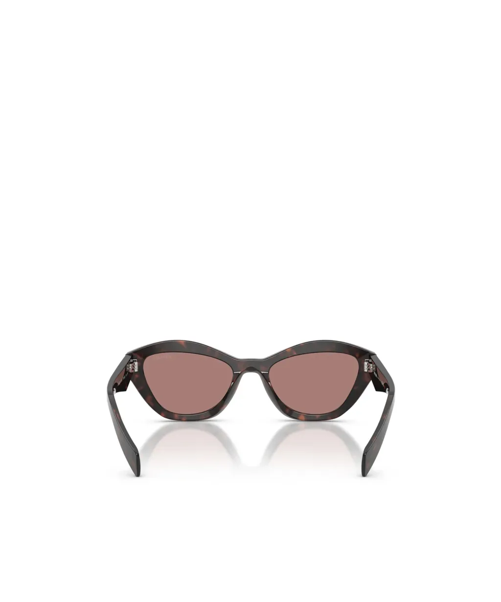 Full Frame Sunglasses