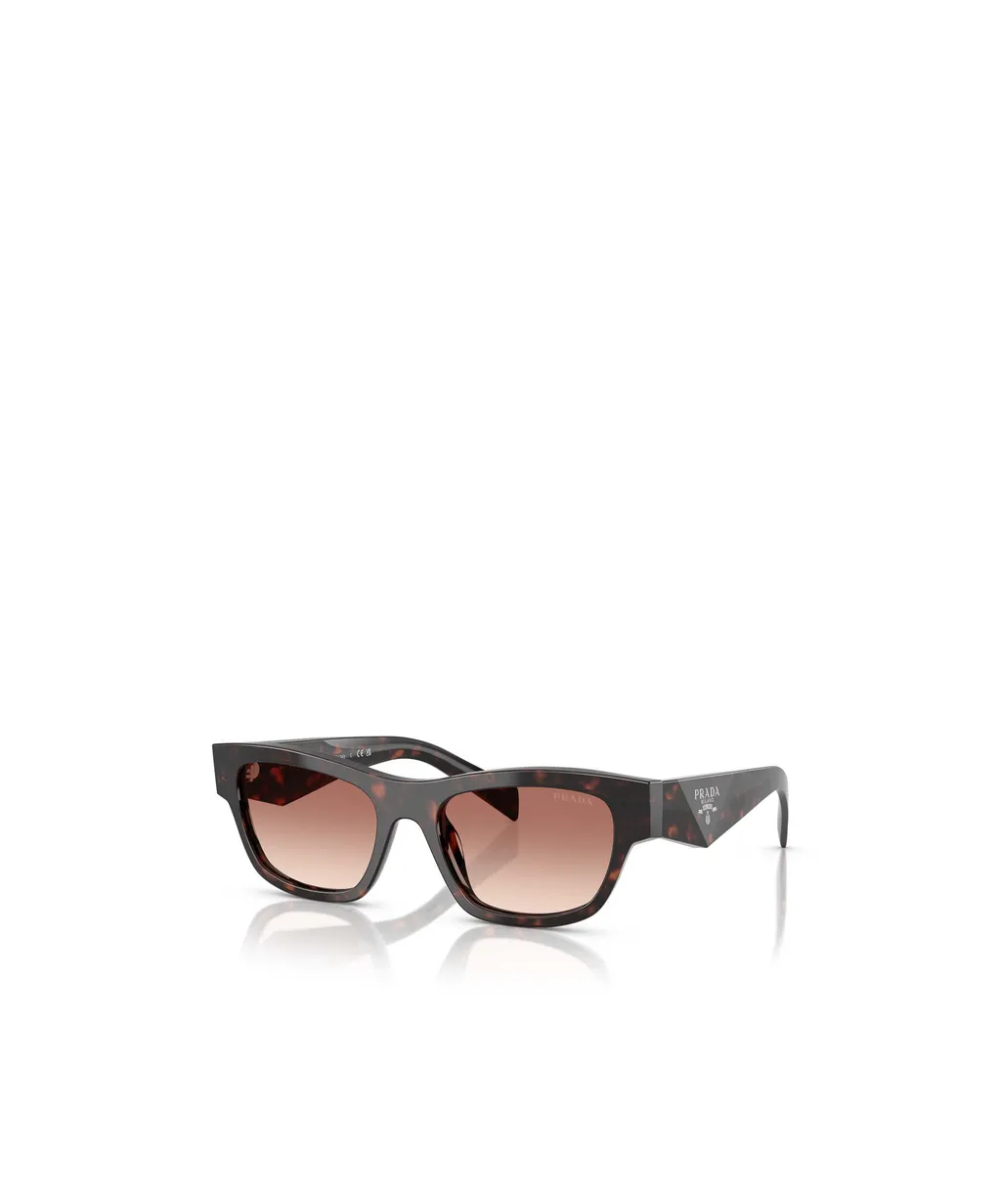 Butterfly Frame Sunglasses