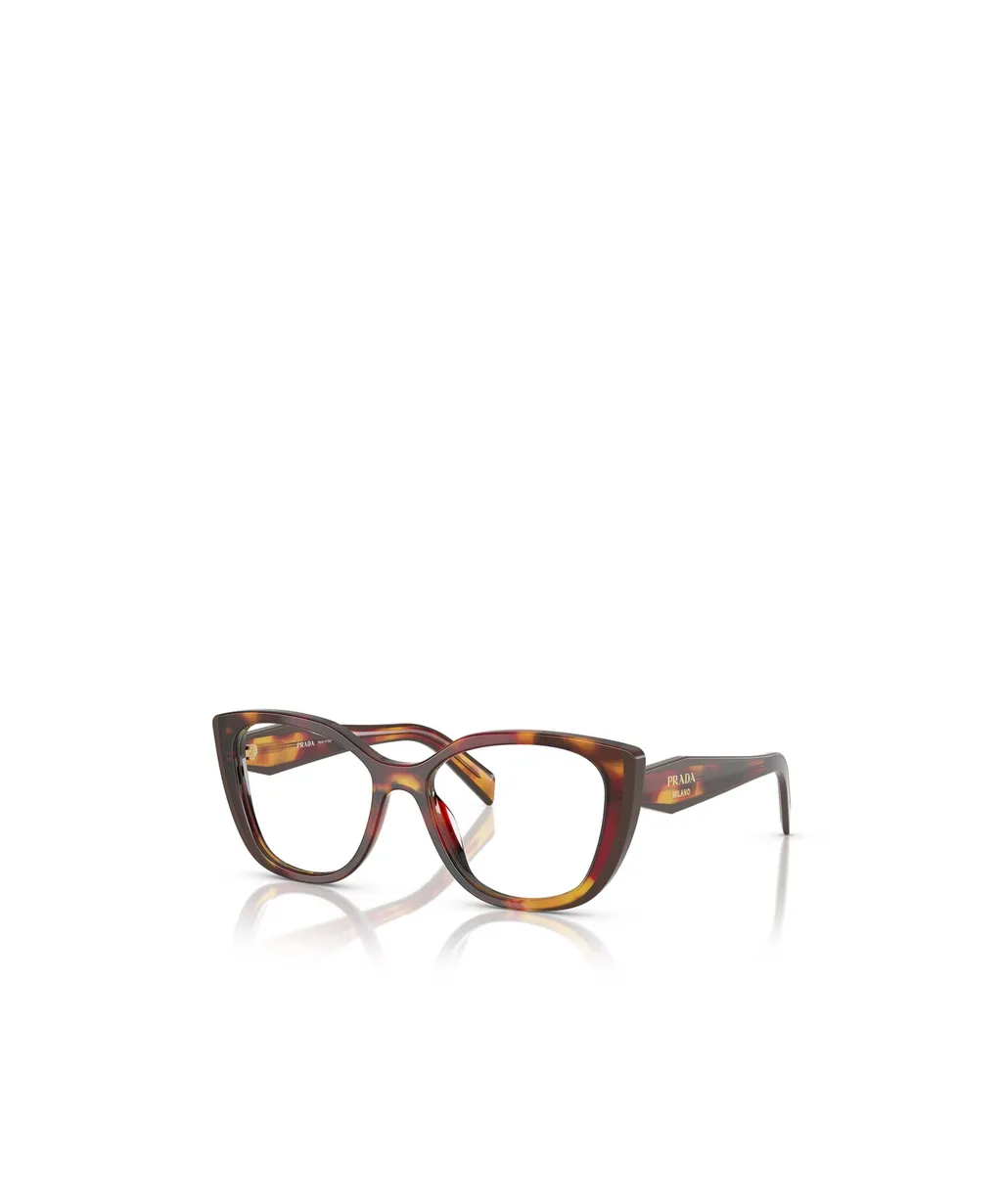Cat-Eye Glasses