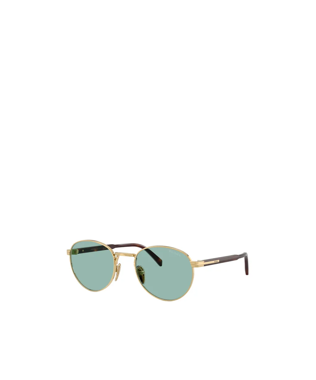 Oval Frame Sunglasses