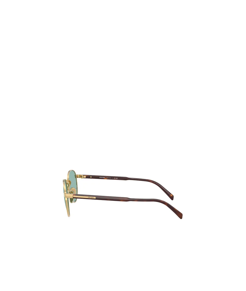 Oval Frame Sunglasses