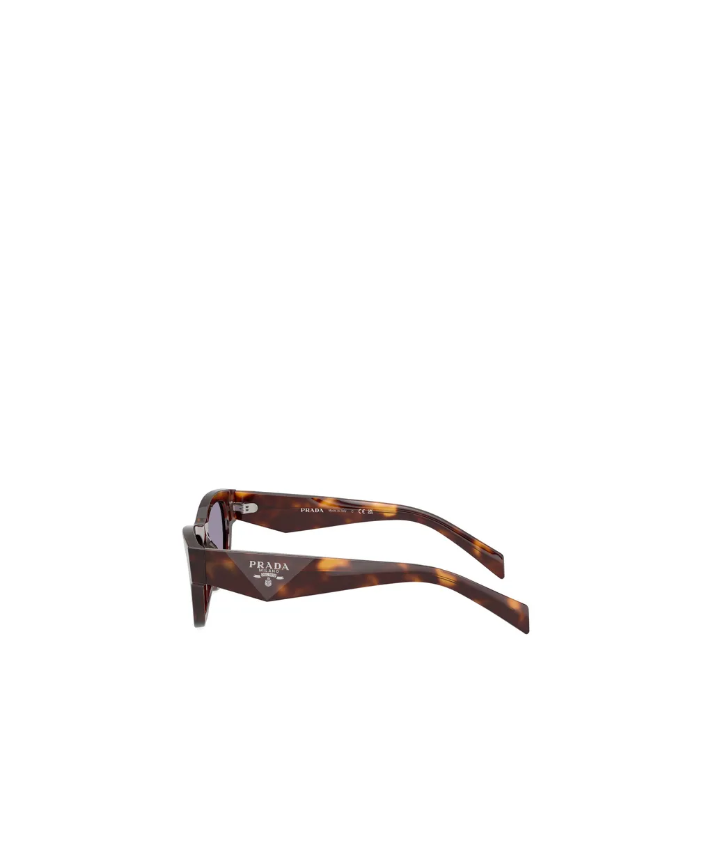 Square-Frame Sunglasses