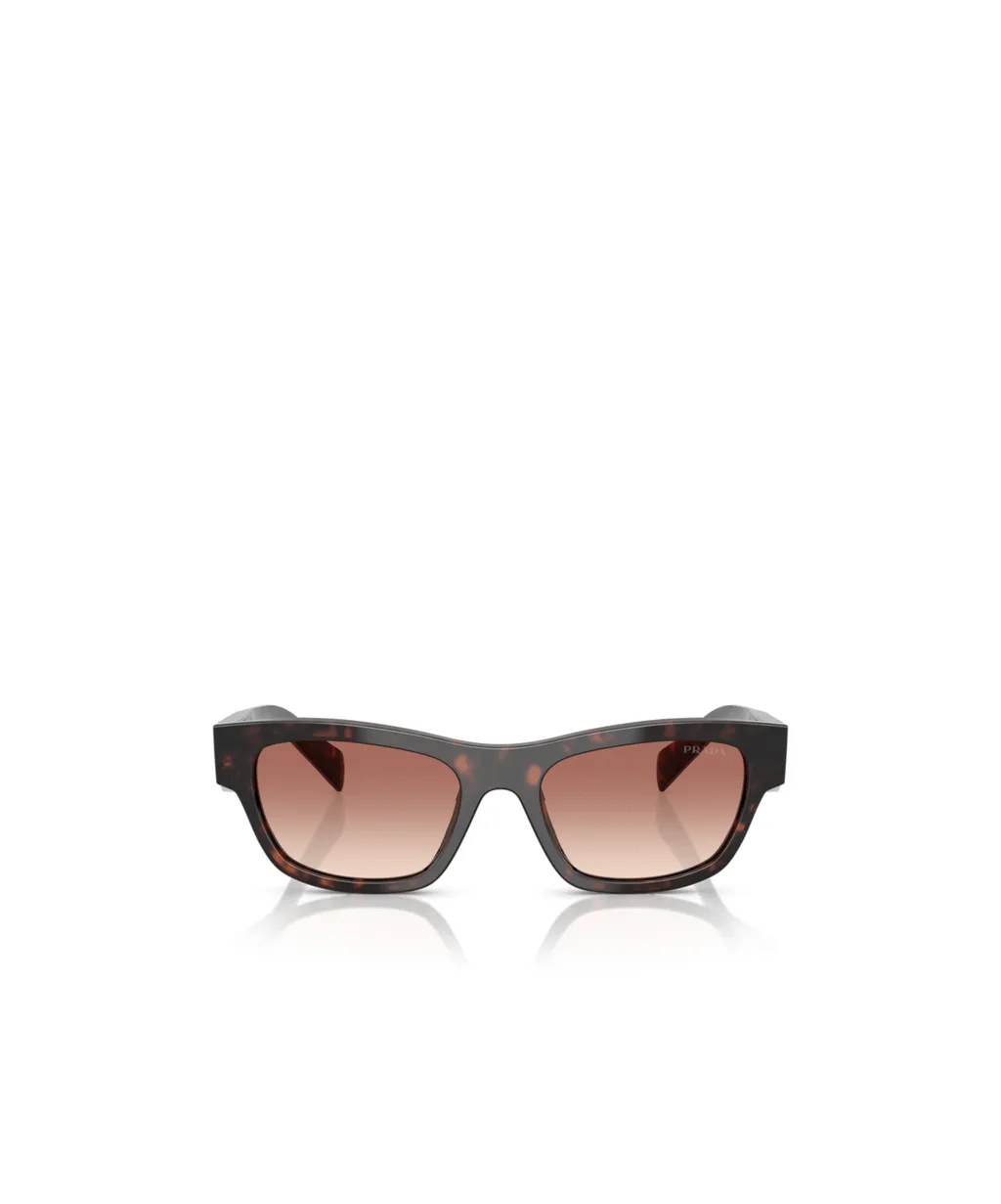 Full Frame Sunglasses