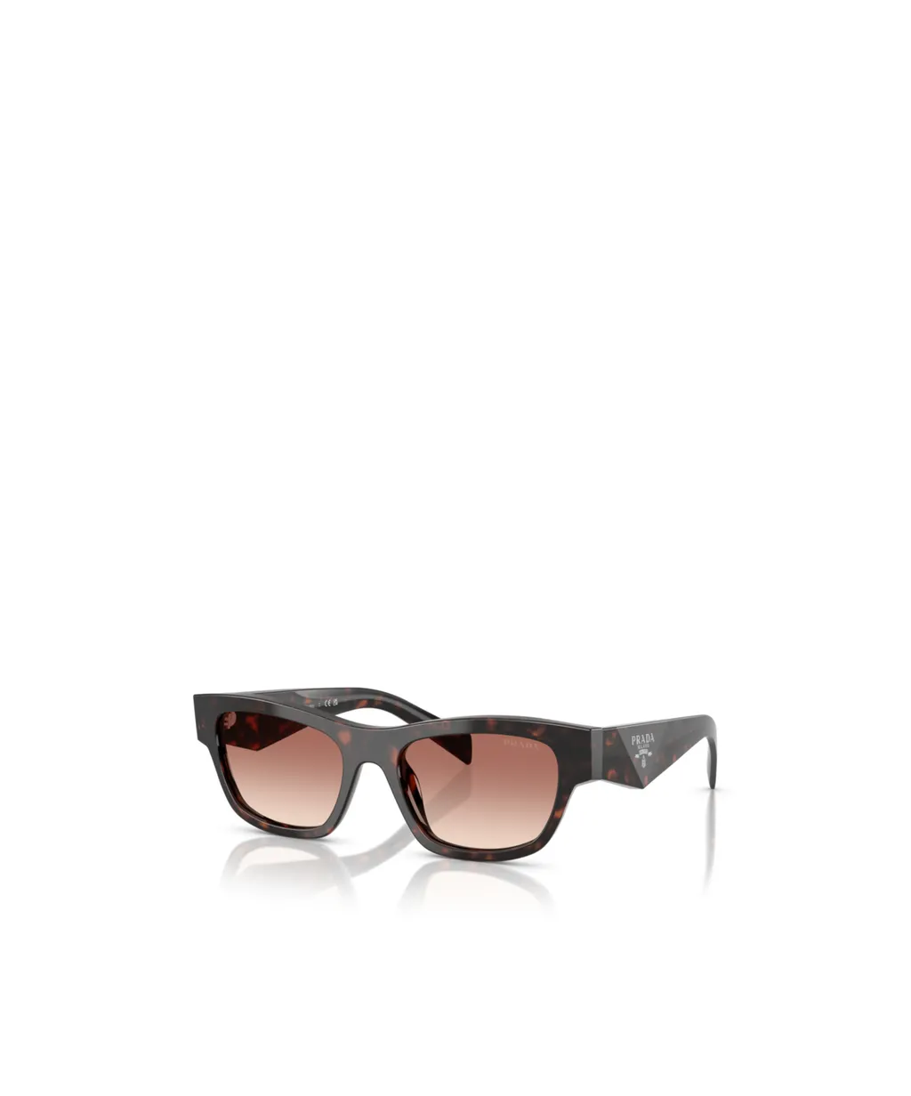 Full Frame Sunglasses