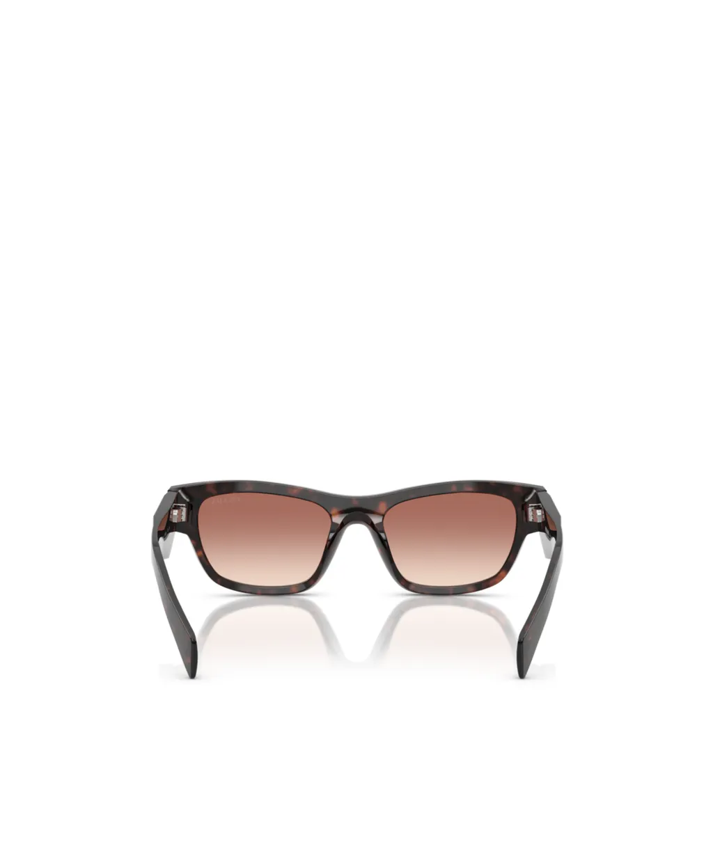 Full Frame Sunglasses