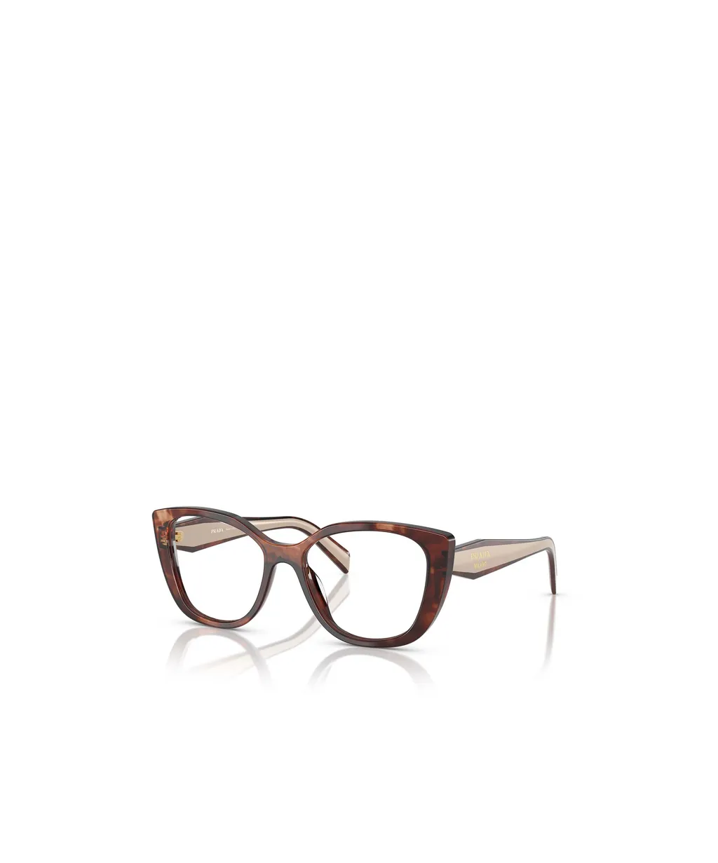 Cat-Eye Glasses