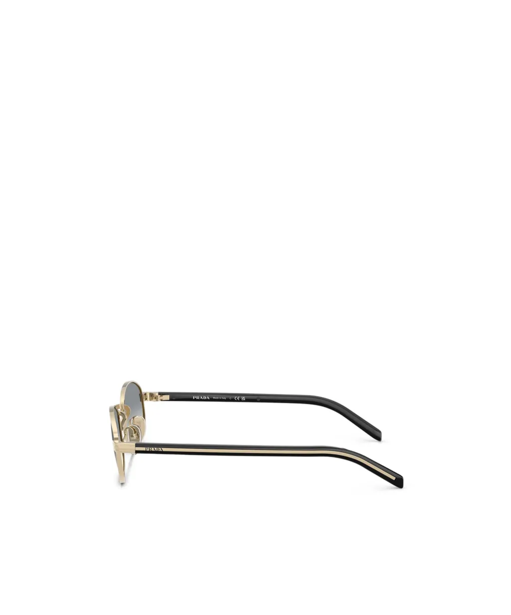 Oval Frame Sunglasses