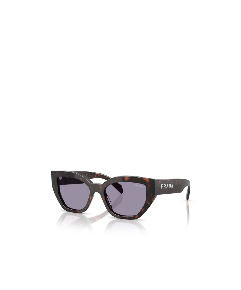 Butterfly Frame Sunglasses