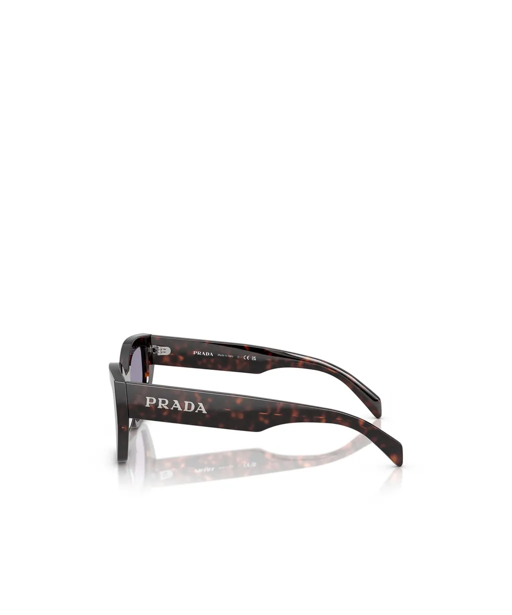 Butterfly Frame Sunglasses