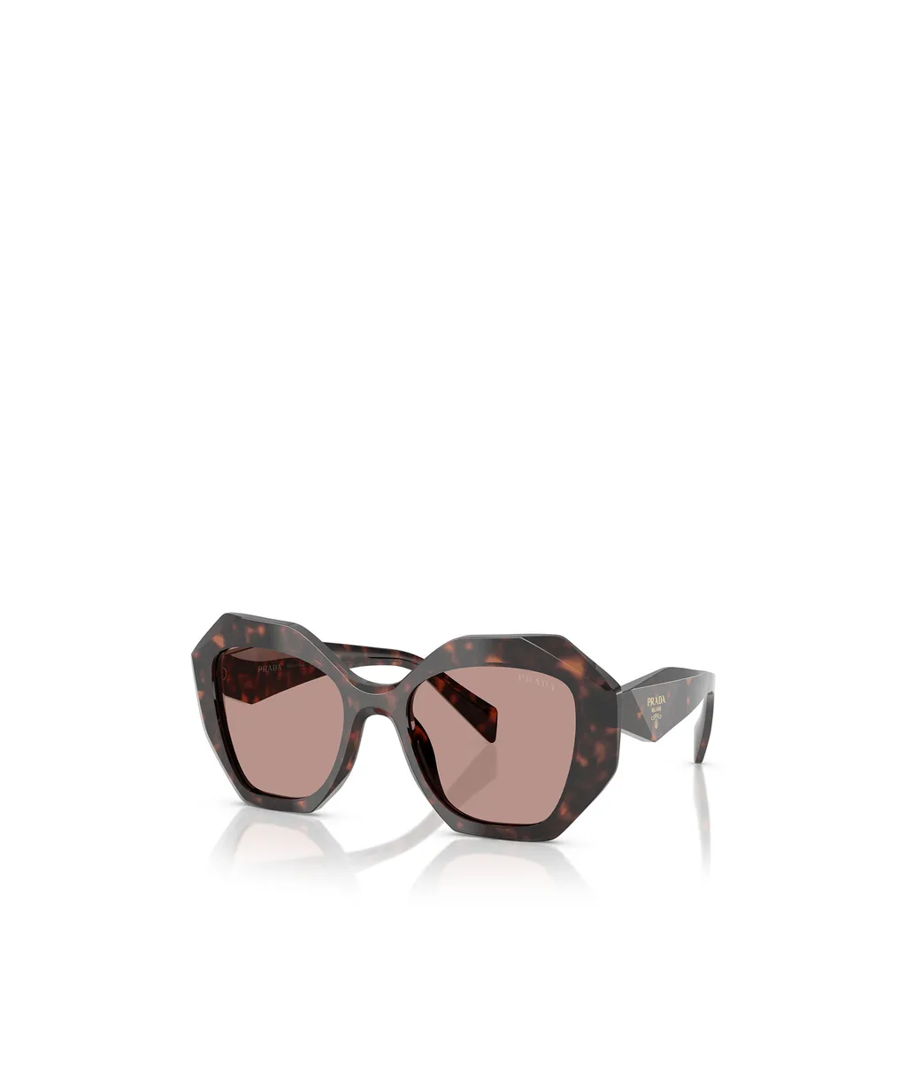 Butterfly Frame Sunglasses