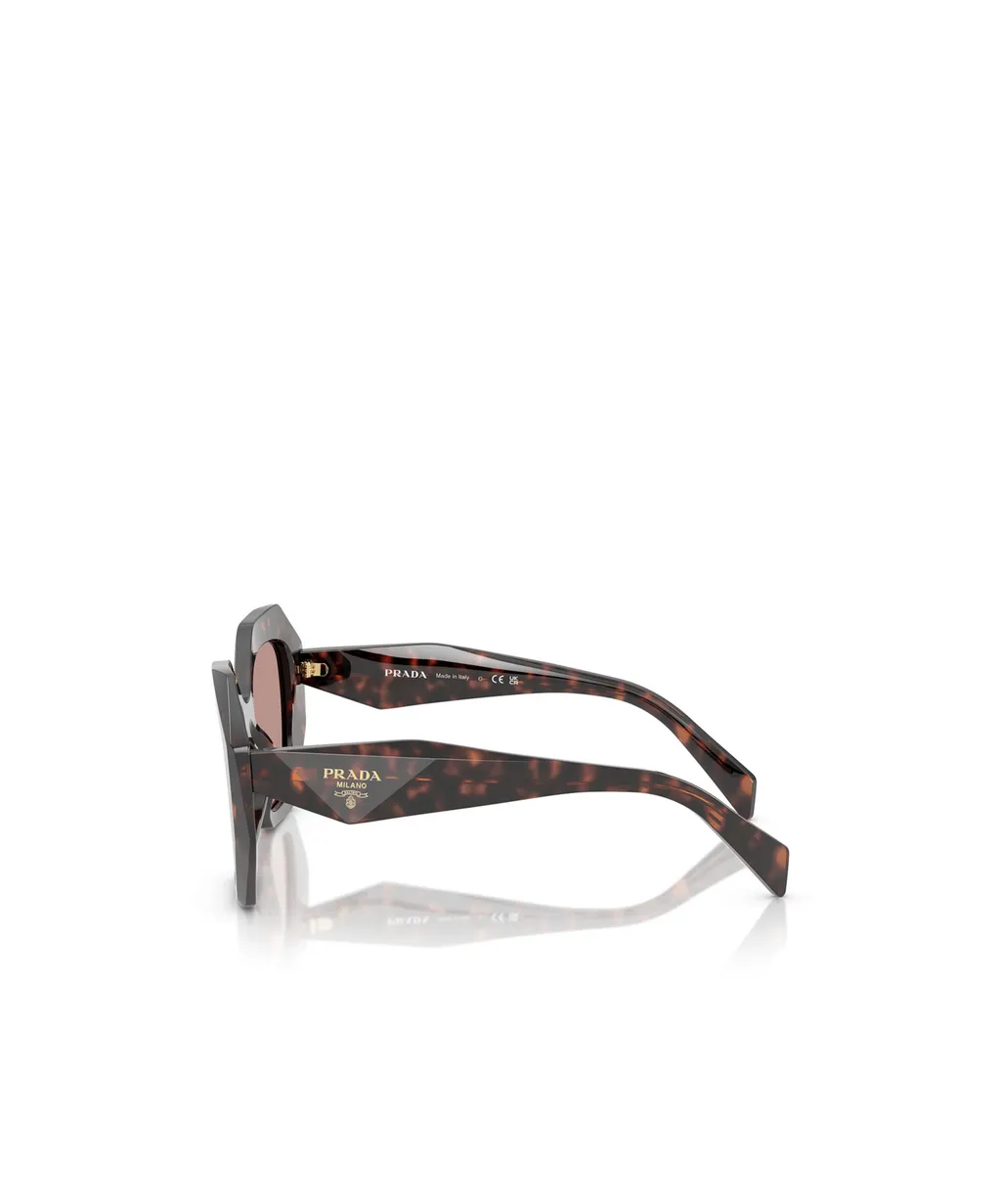 Butterfly Frame Sunglasses