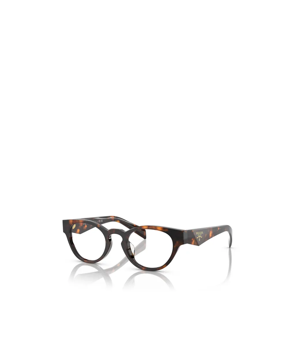 Oval Frame Glasses