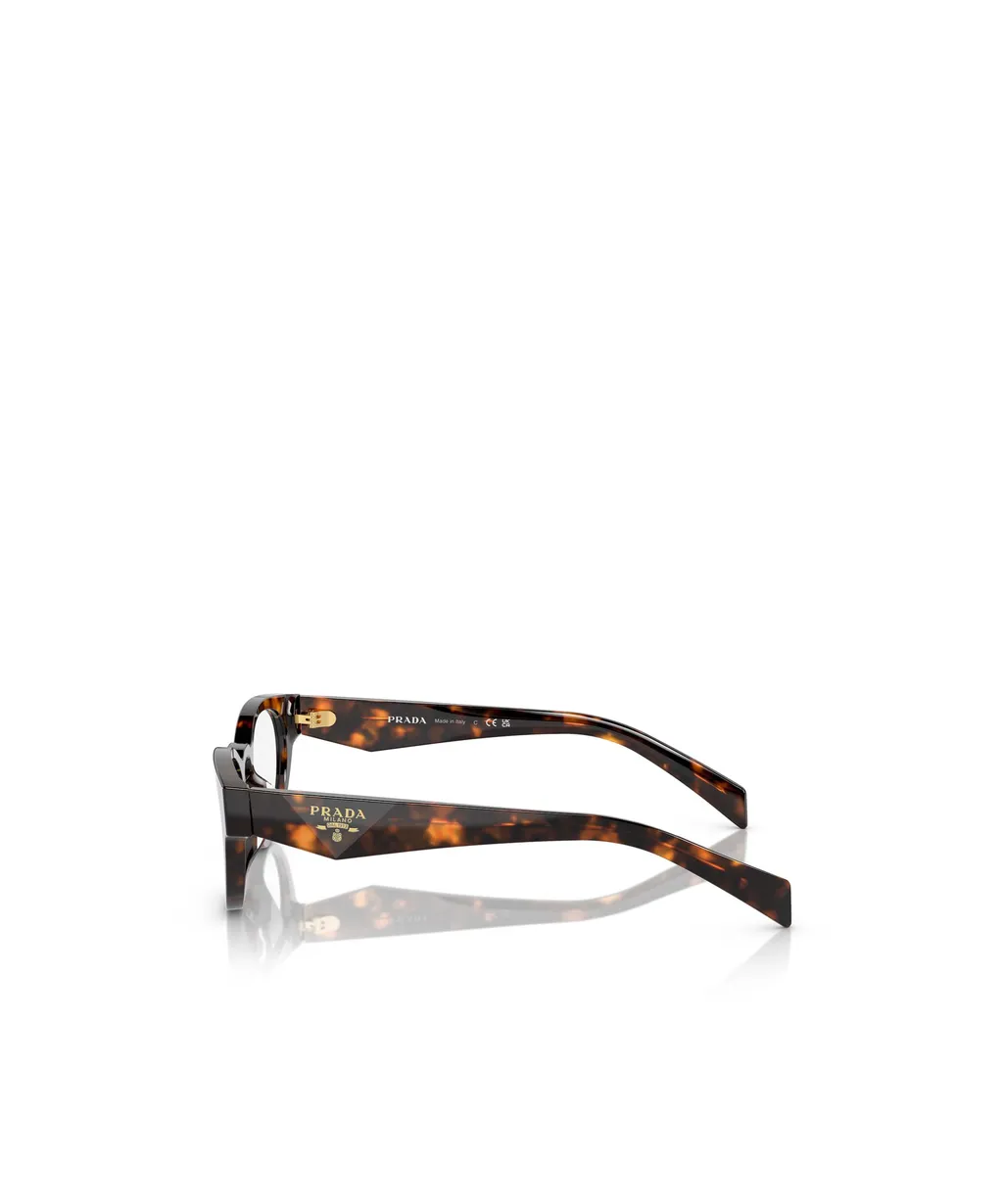 Oval Frame Glasses