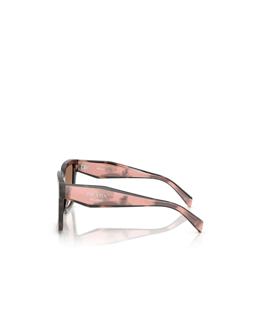 Square Frame Sunglasses