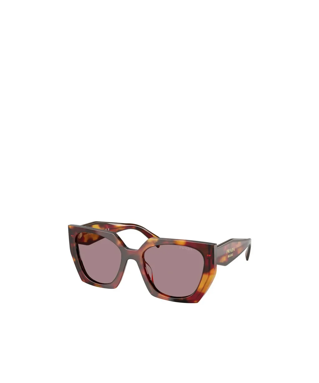 Cat-Eye Sunglasses