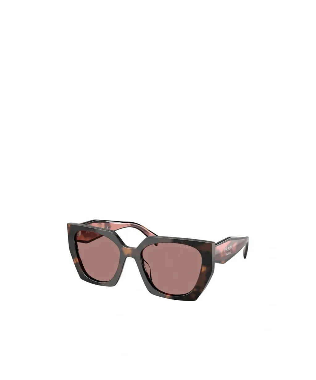 Cat-Eye Sunglasses