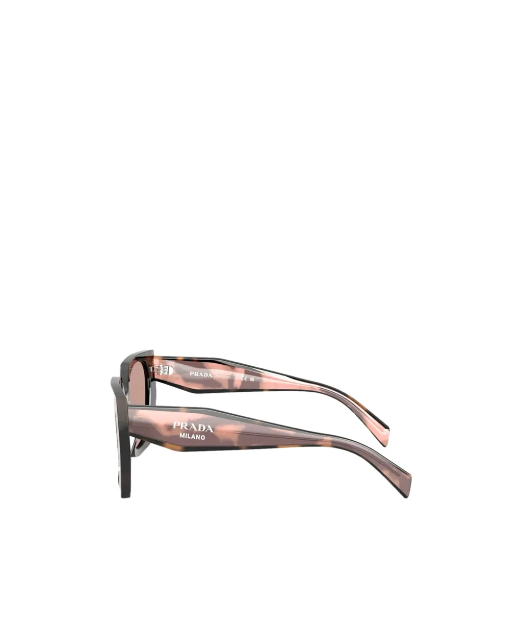 Cat-Eye Sunglasses