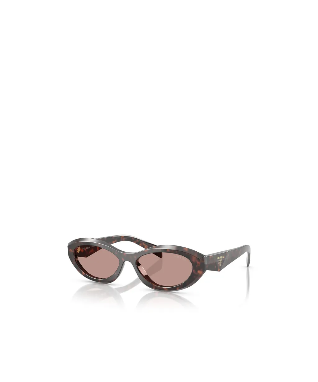Cat-Eye Sunglasses