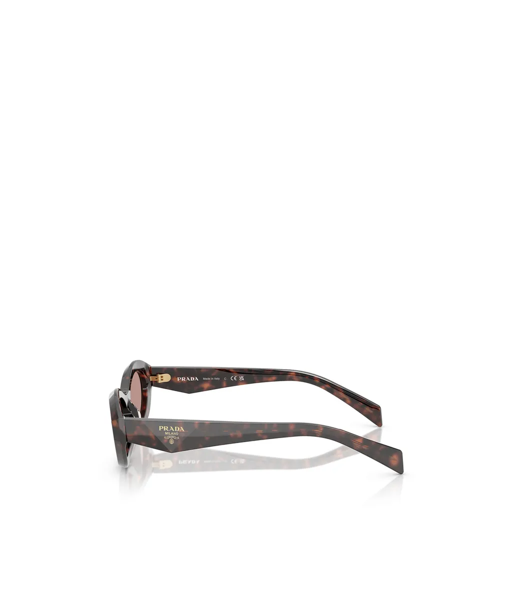 Cat-Eye Sunglasses