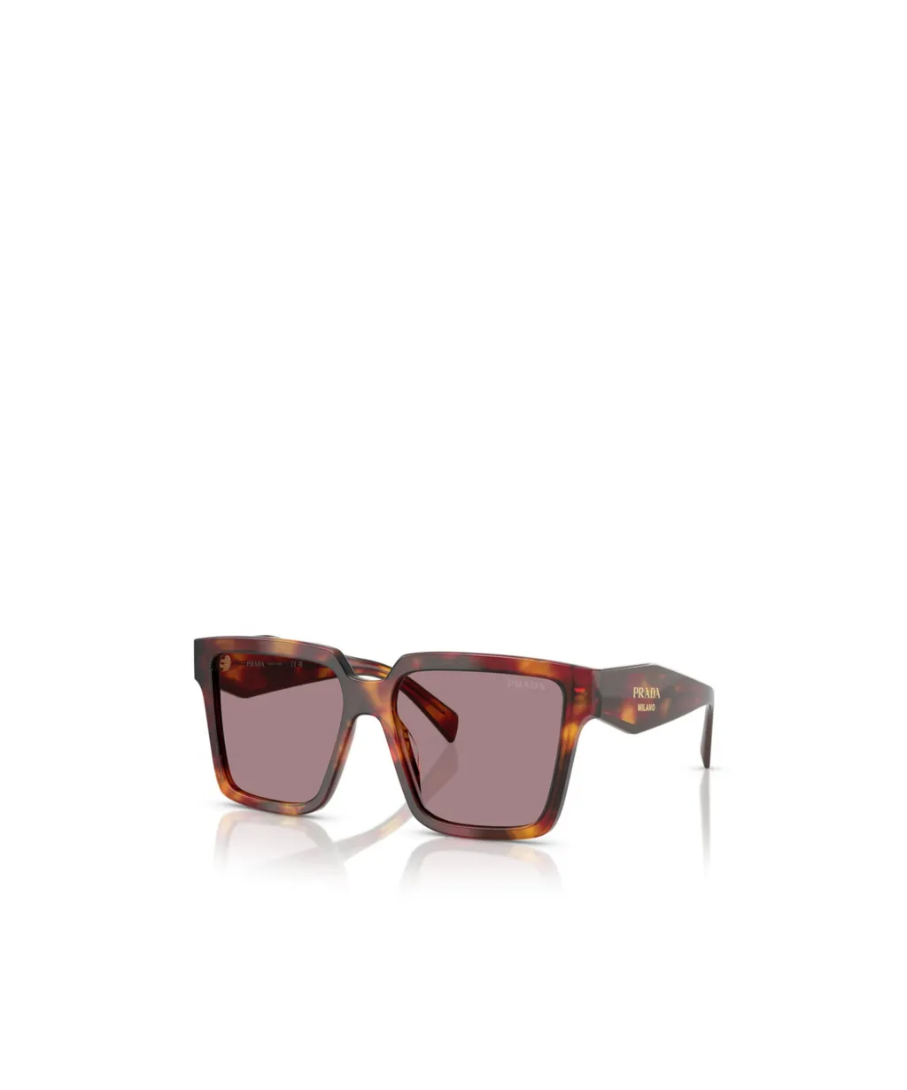 Full Frame Sunglasses