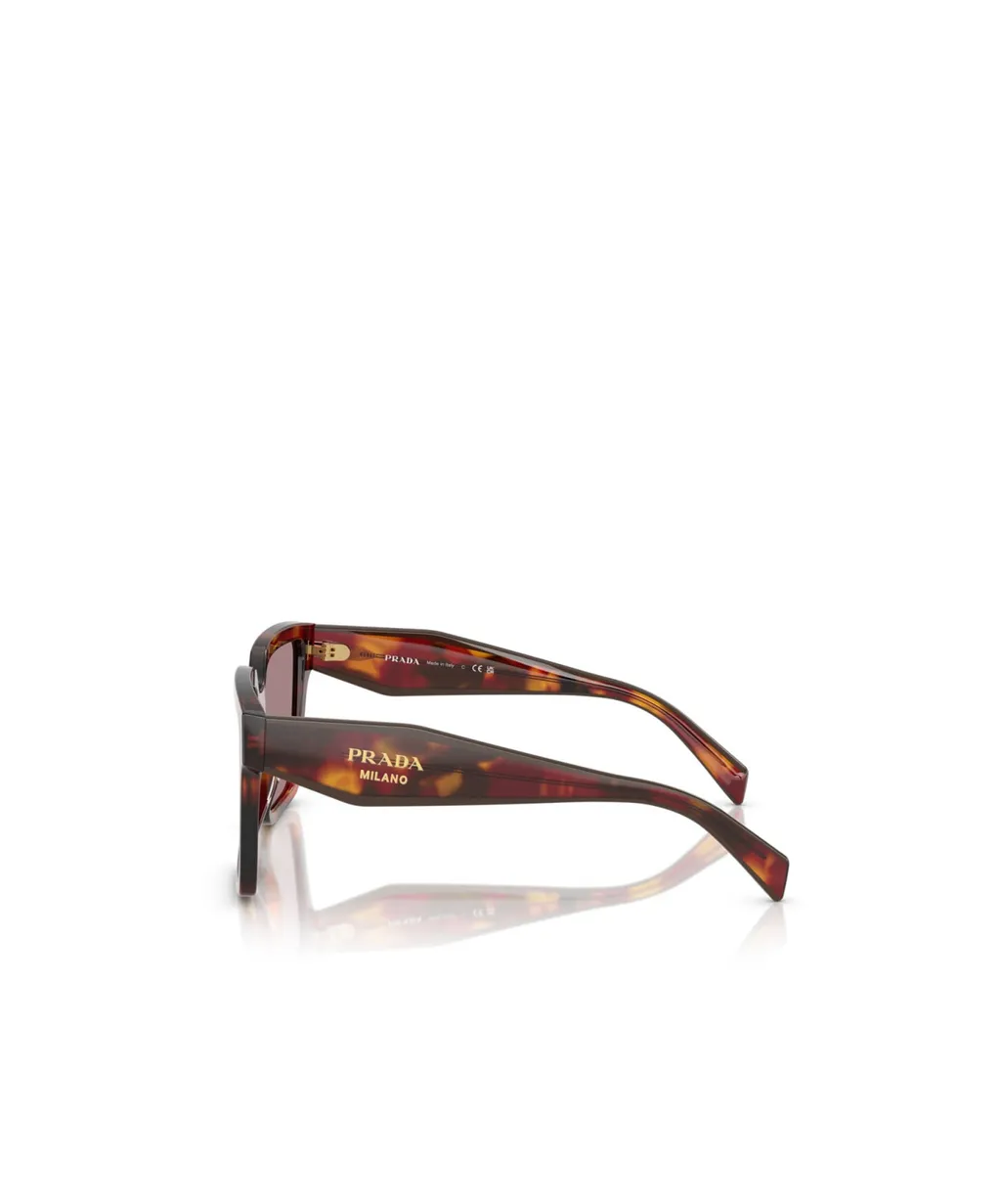 Full Frame Sunglasses