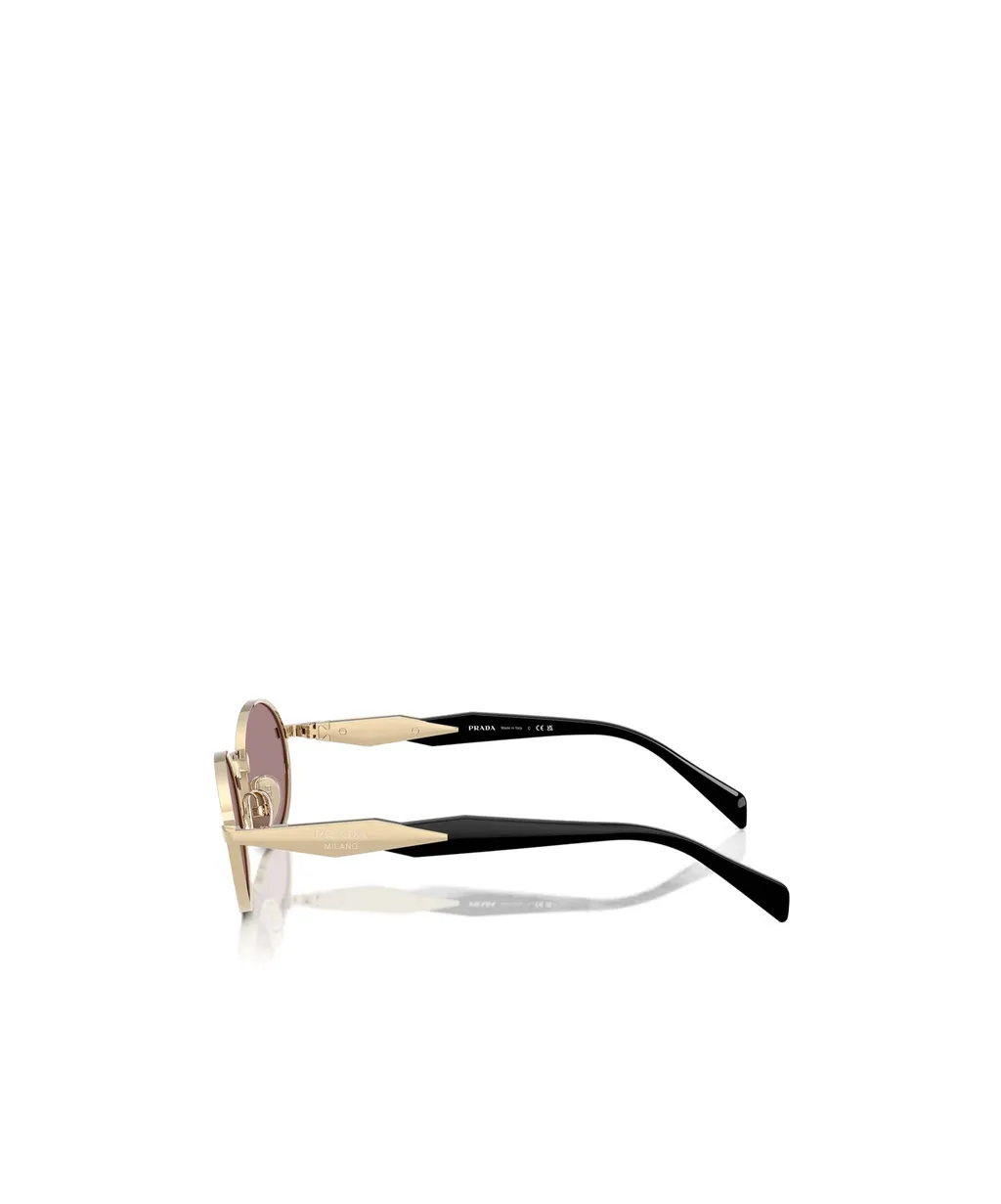 Oval Frame Sunglasses