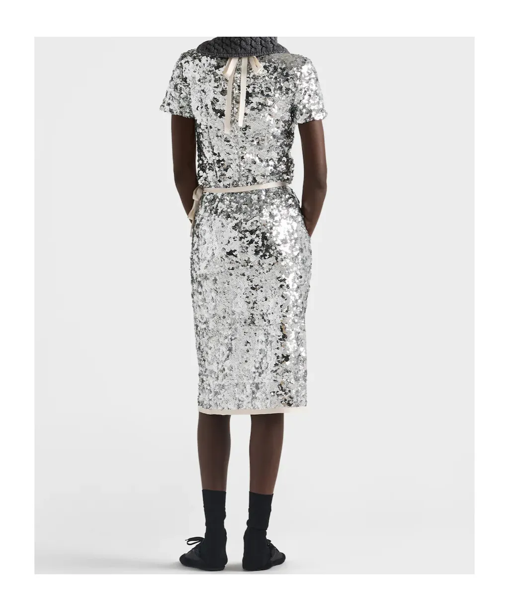 Embroidered Sequin Skirt
