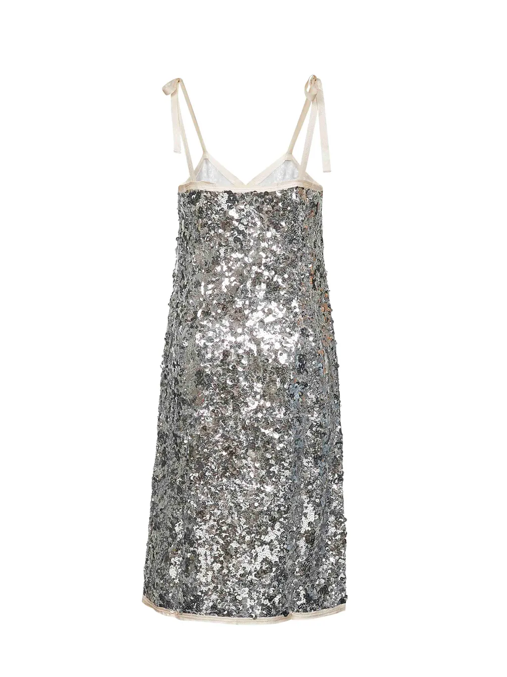 Embroidered Sequin Dress