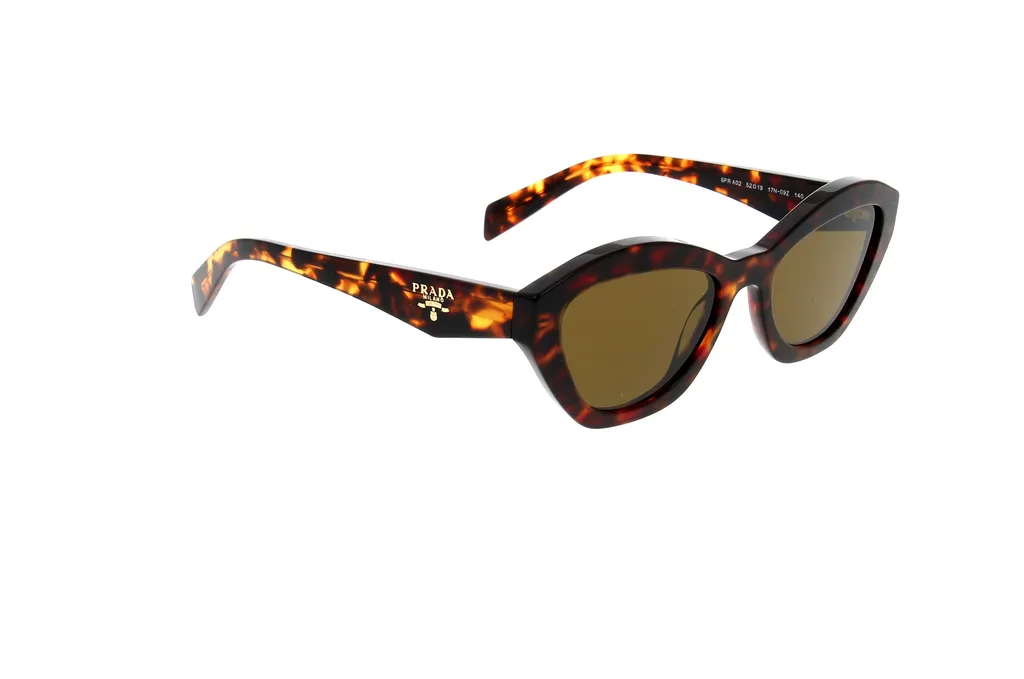 Cat-Eye Sunglasses