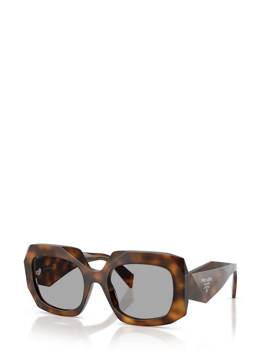 Oversized-Frame Sunglasses