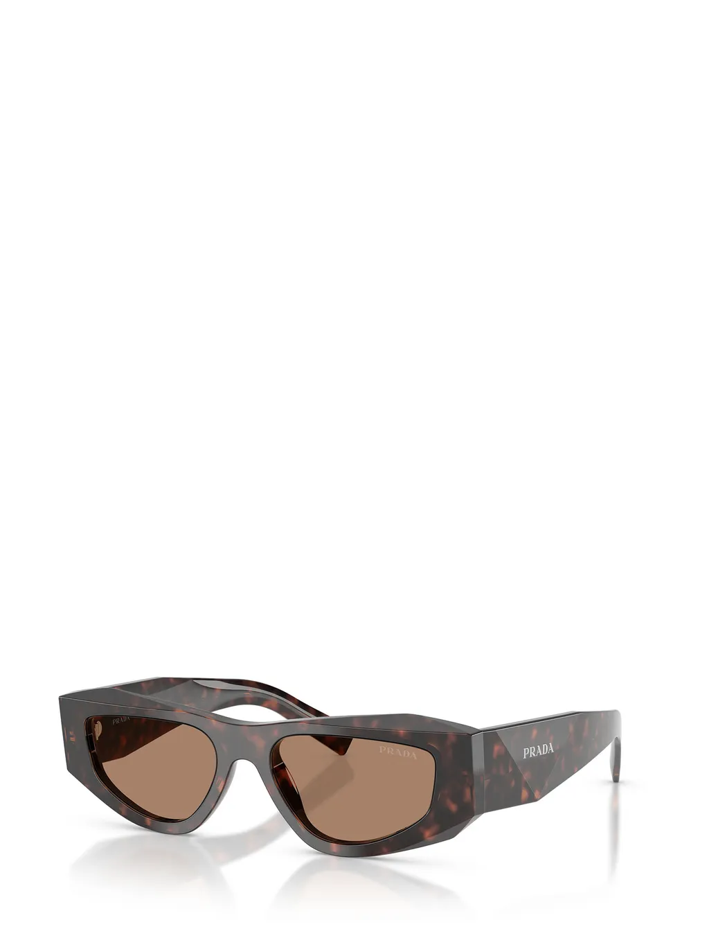 Cat-Eye Sunglasses