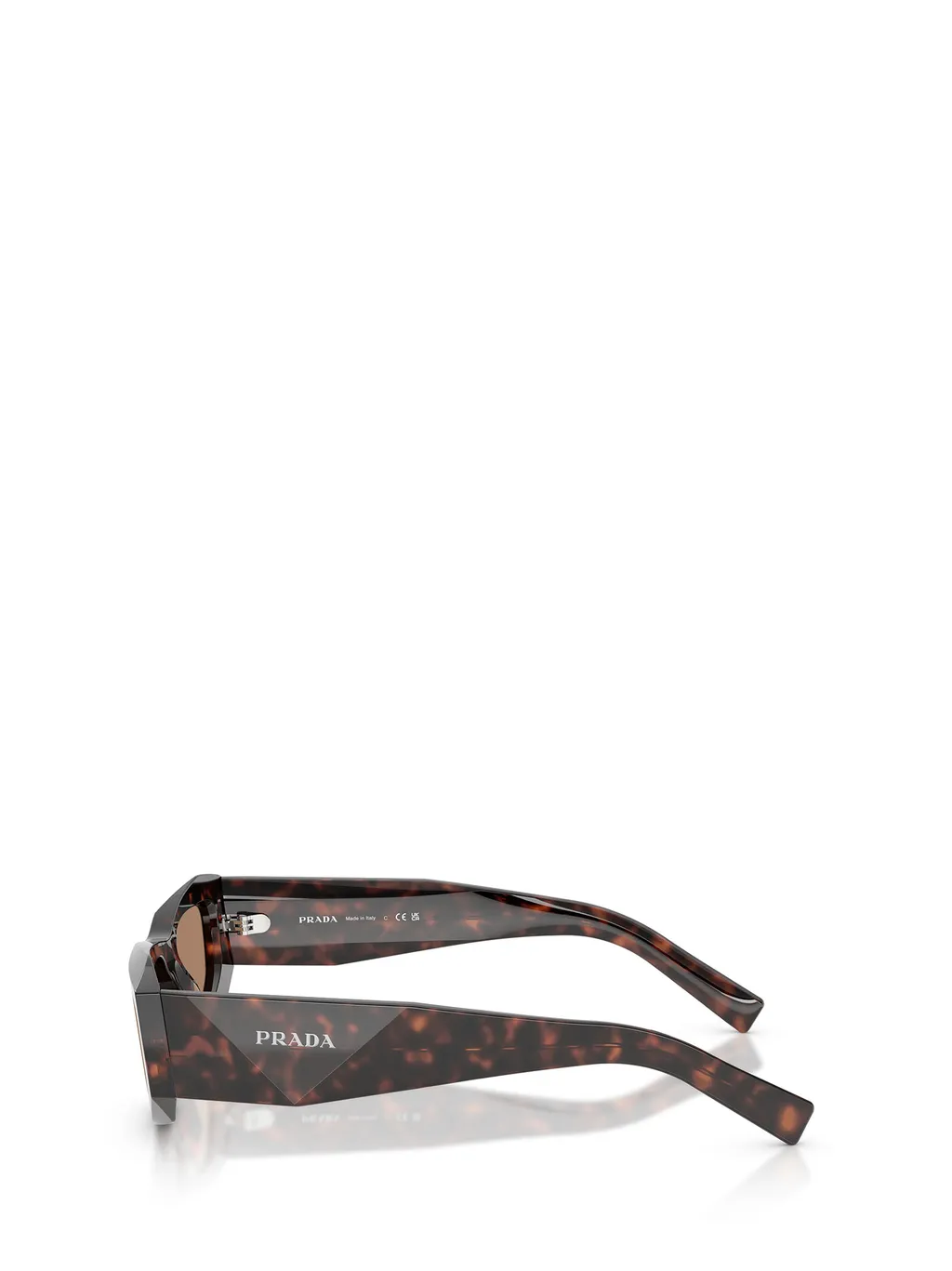 Cat-Eye Sunglasses