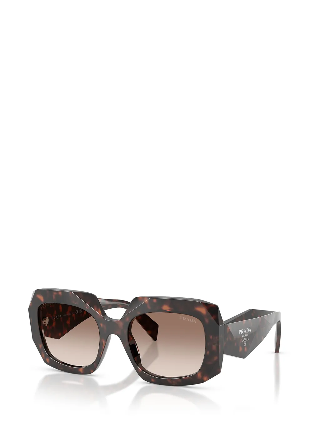 Oversized-Frame Sunglasses