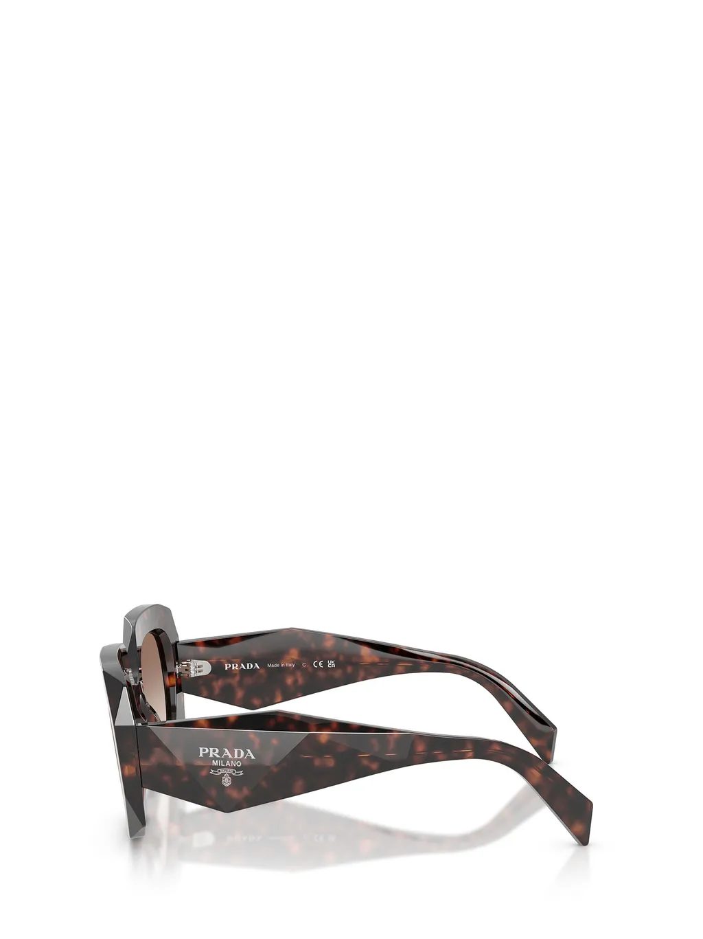 Oversized-Frame Sunglasses