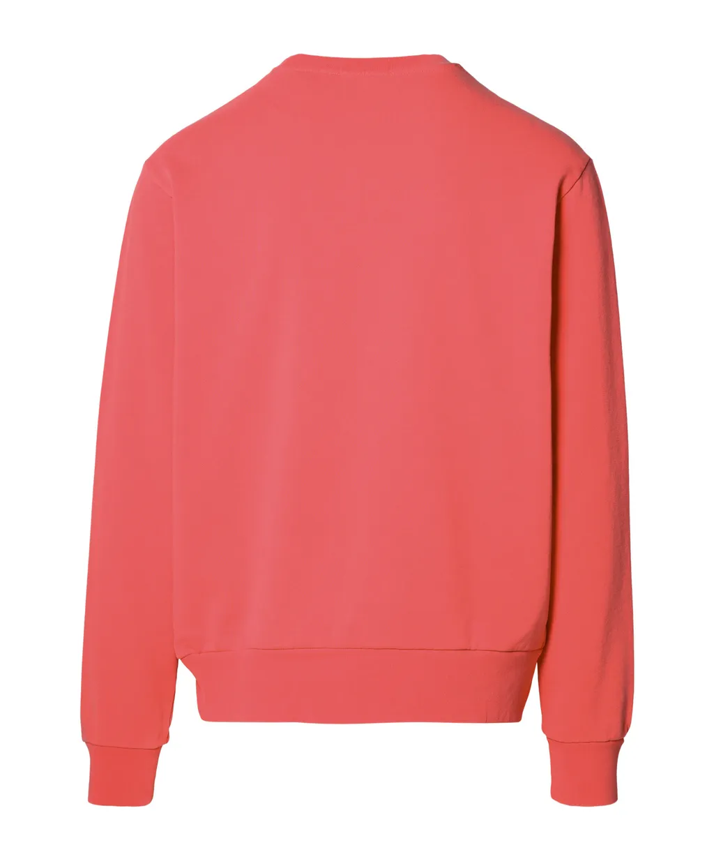 Pony Embroidered Crewneck Sweatshirt