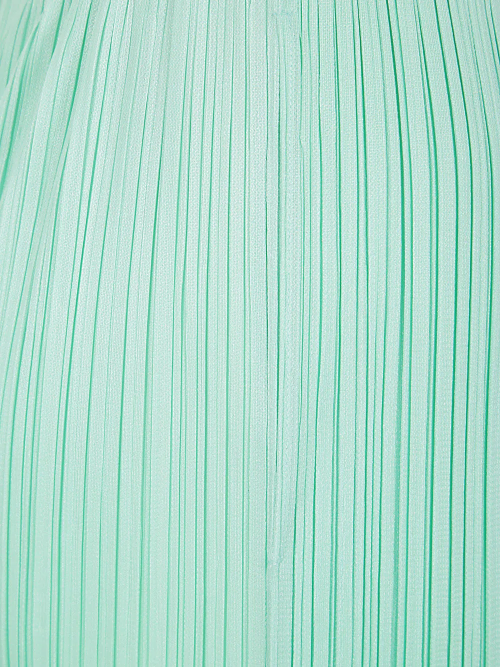 Pleated Wide-Leg Trousers