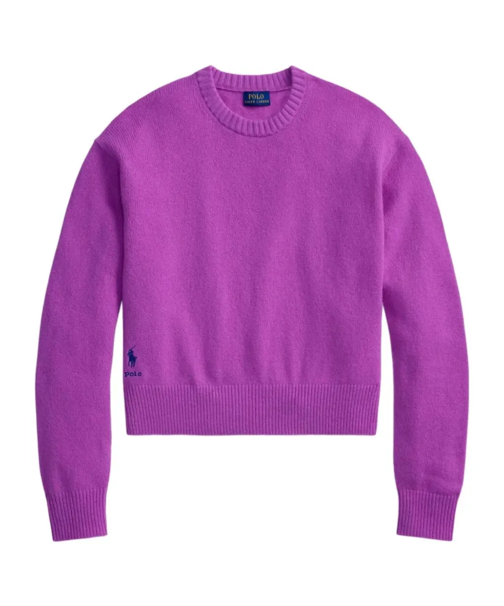 Polo Pony-Embroidered Sweater