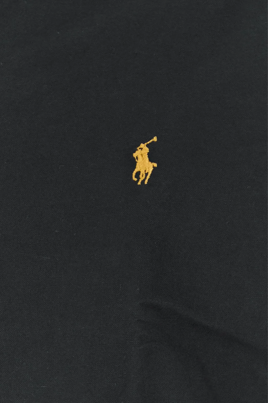 Pony Embroidered Long-Sleeved Shirt