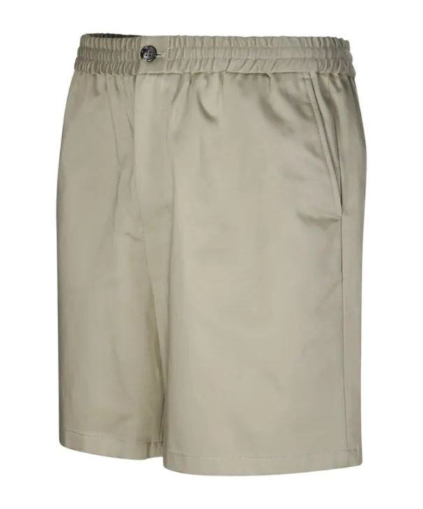 Regular Fit Chino Shorts