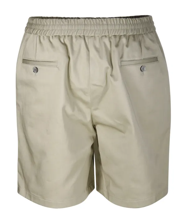 Regular Fit Chino Shorts
