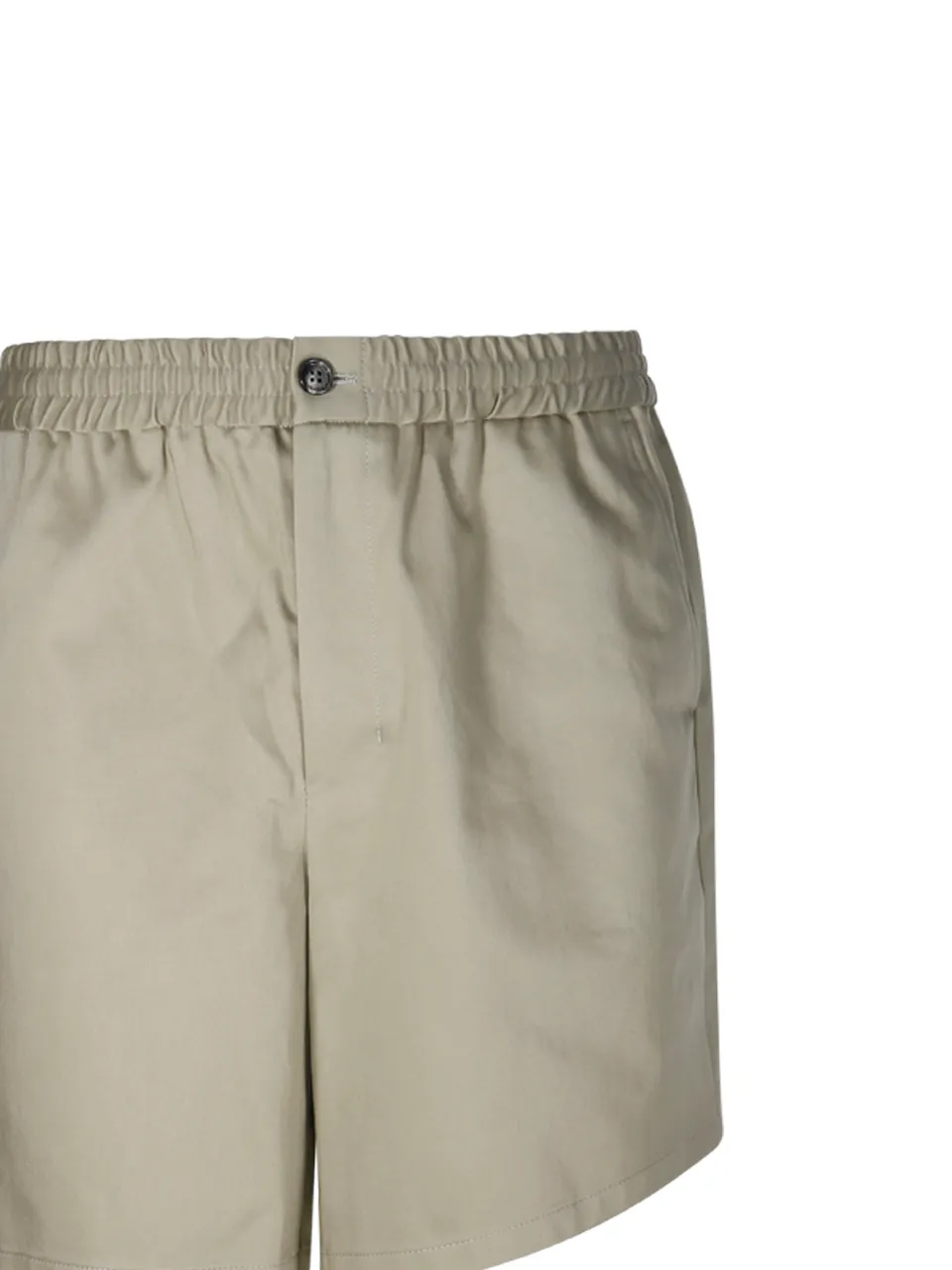 Regular Fit Chino Shorts