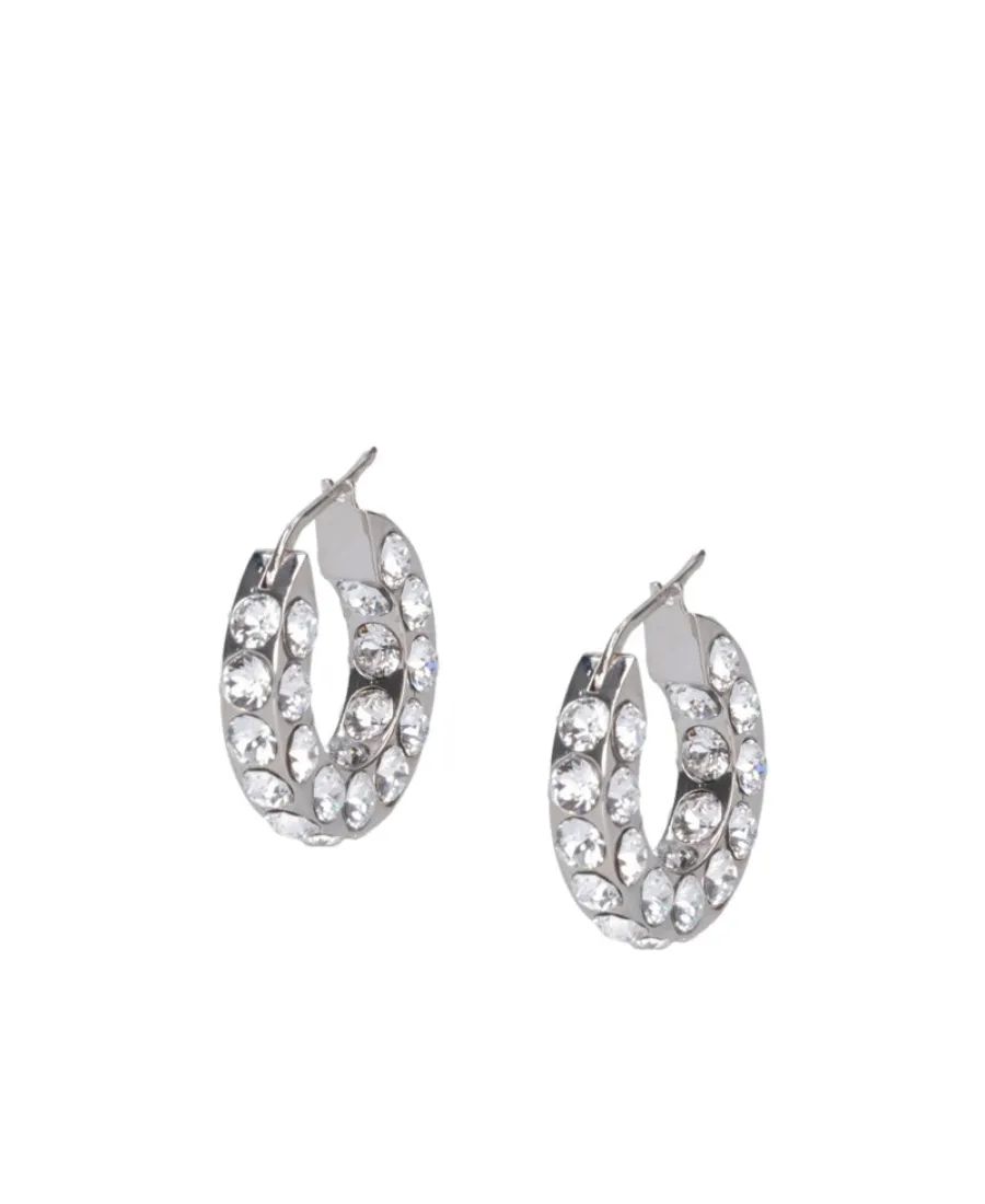 Crystal Decorated Ring Earrings