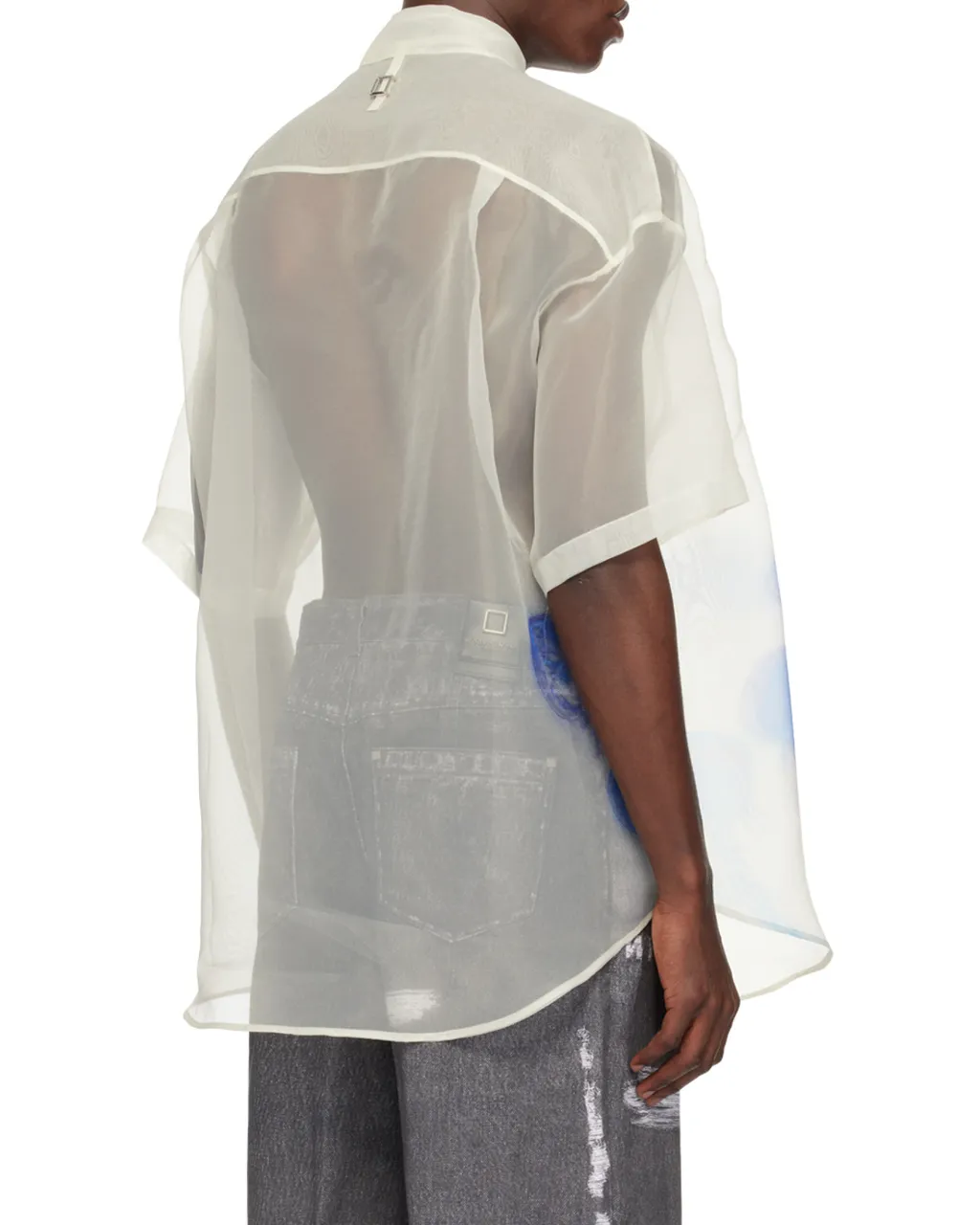 Printed Sheer Shirt