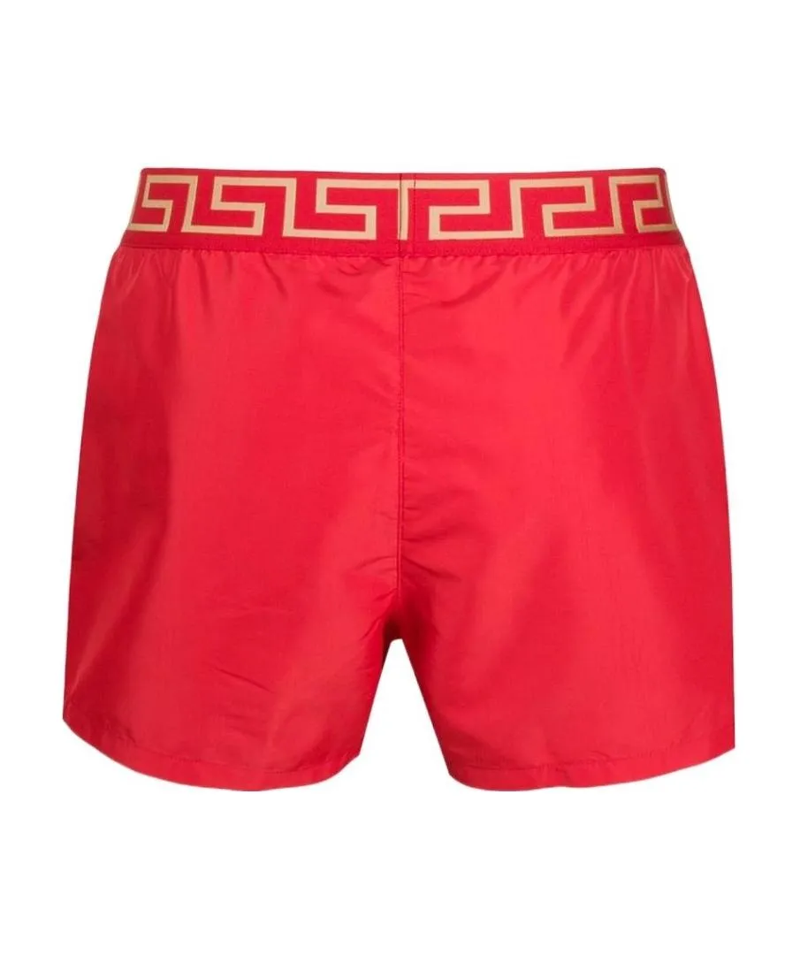 Greca Boarder Swim Shorts