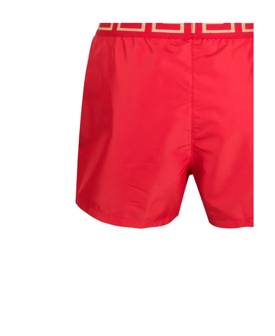 Greca Boarder Swim Shorts