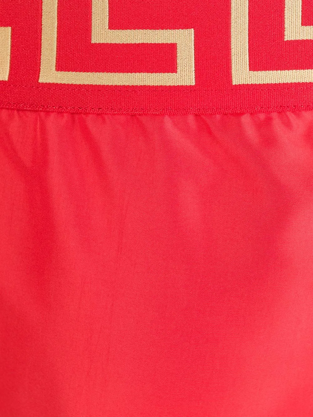 Greca Boarder Swim Shorts